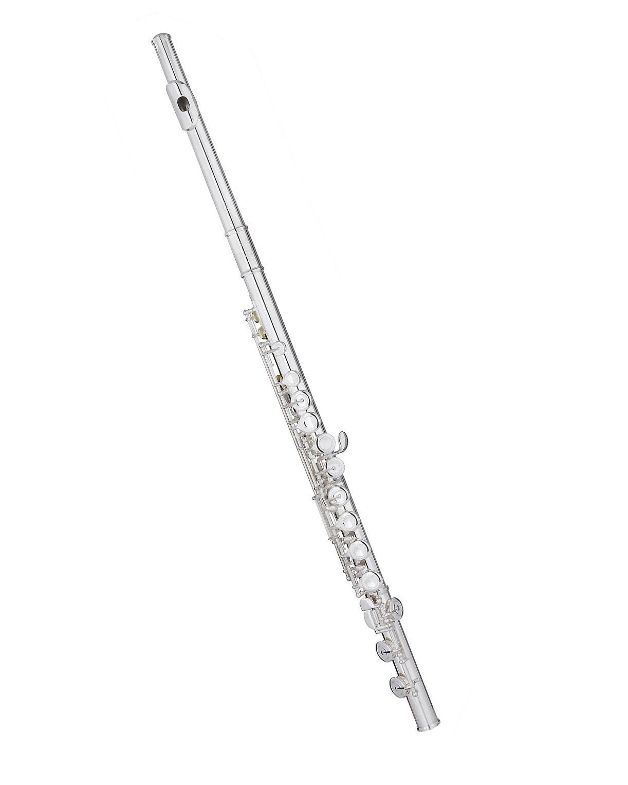 Trevor James Privilege Flute