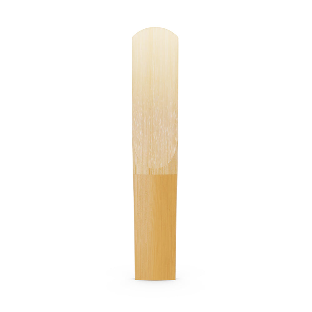 D’Addario Organic Reserve Bb Clarinet Reed-Single
